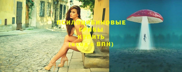 не бодяженный Арсеньев