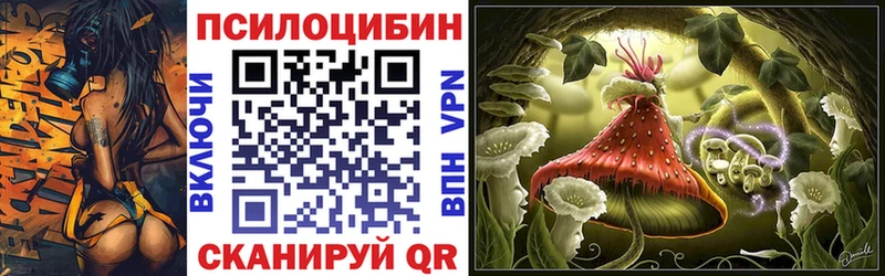 Псилоцибиновые грибы Psilocybine cubensis наркошоп Заозёрный